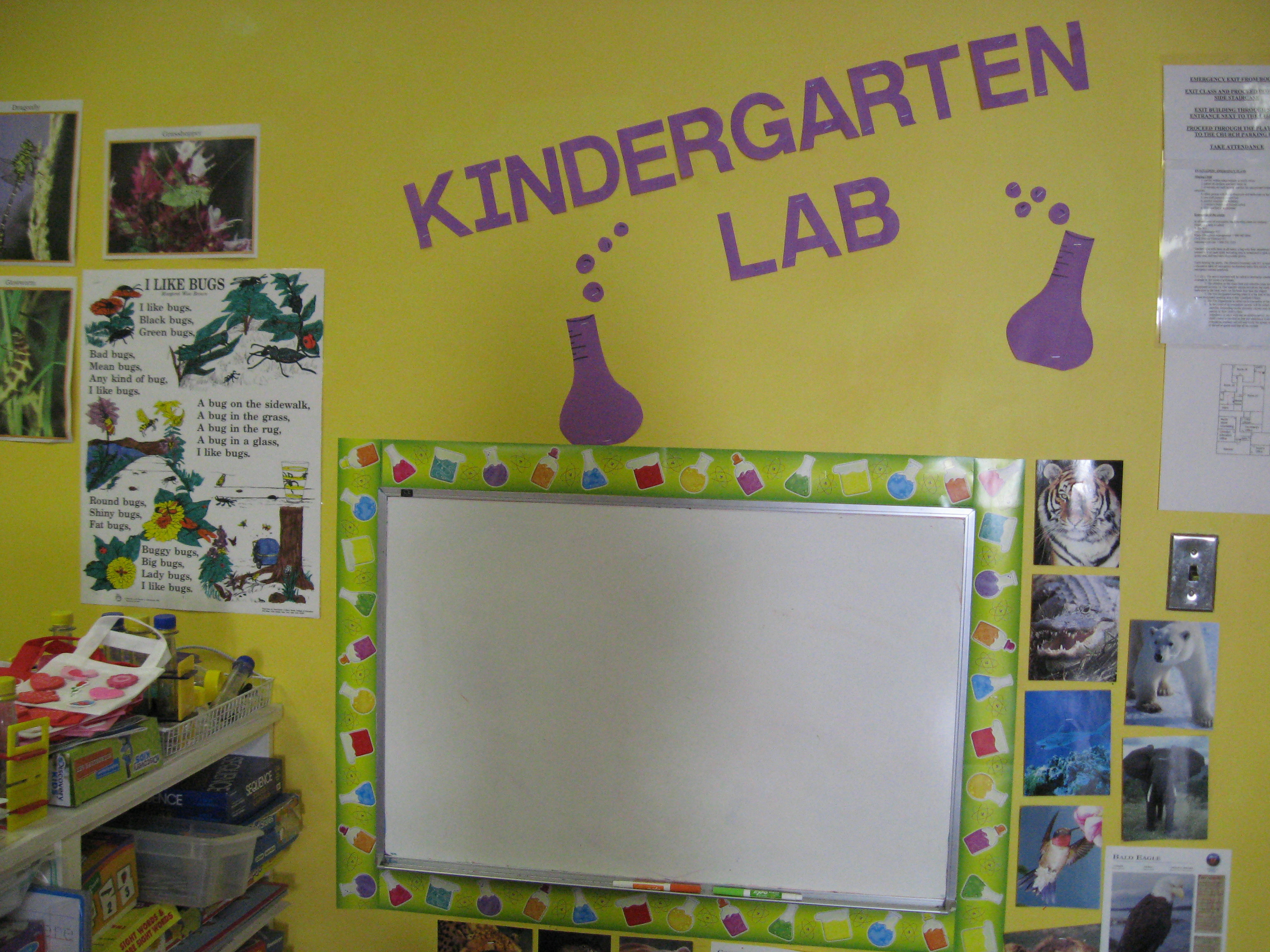 Kindergarten Class